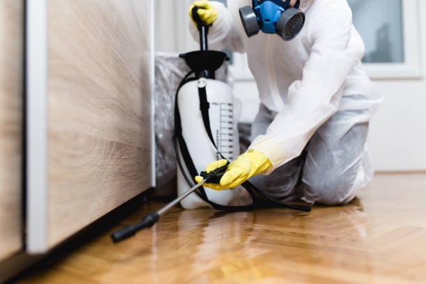 Best Mosquito Control Services  in Fresno, CA