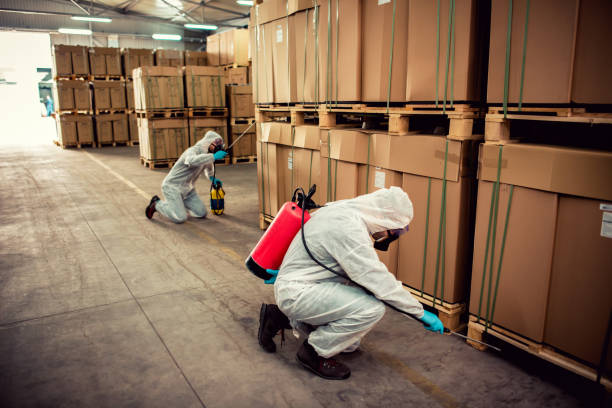 Best Insect Control  in Fresno, CA
