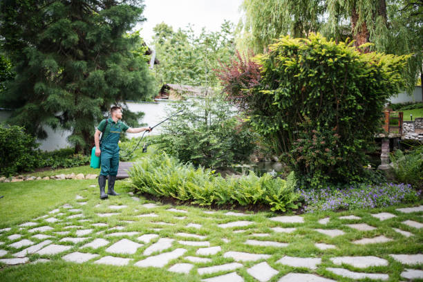 Best Mosquito Control Services  in Fresno, CA