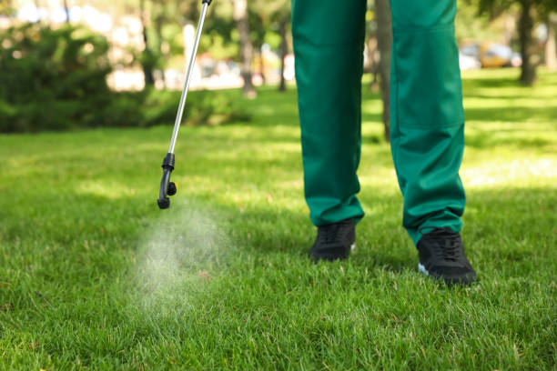 Best Insect Control  in Fresno, CA