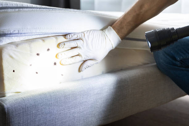 Fresno, CA Pest Control Company