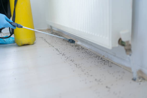 Best Affordable Pest Control Services  in Fresno, CA