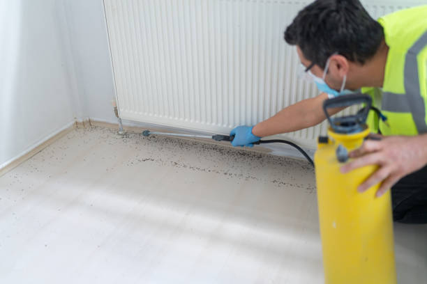Best Affordable Exterminators  in Fresno, CA